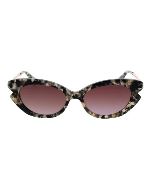 Scotch & Soda Brown Acetate Sunglasses