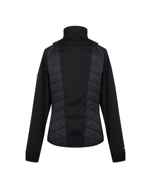 Regatta Black Ladies Steren Ii Hybrid Jacket /Flamingo)