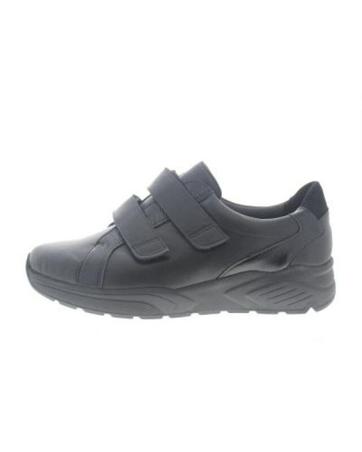 SOLIDUS Mia in het Gray