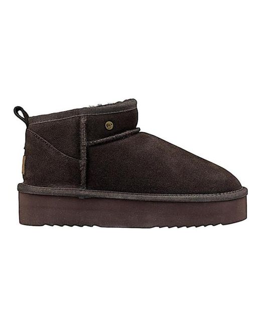 Warmbat Drc371065 in het Brown