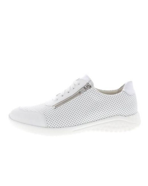 SOLIDUS Hyle H in het White