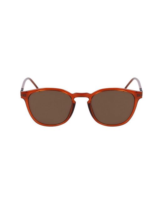 Zeiss Brown Injected Sunglasses for men