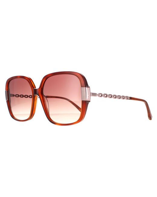 Ted Baker Brown Square Tortoise Gradient Tb1616 Indi