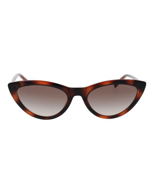 Guess Brown Plastic Sunglasses