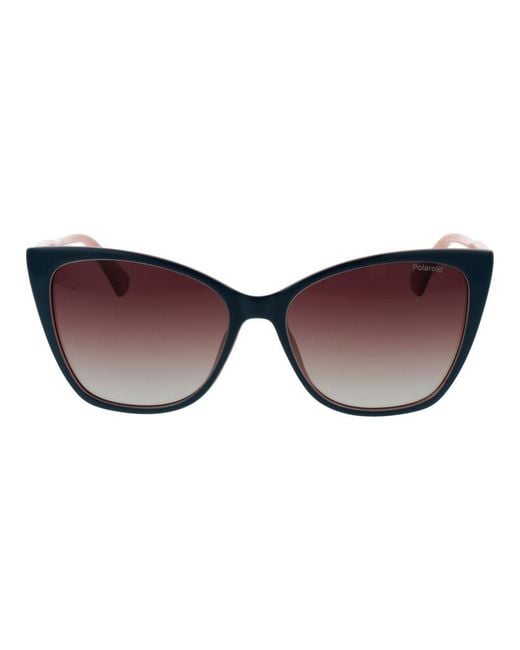 Polaroid Brown Bicolor Plastic Sunglasses