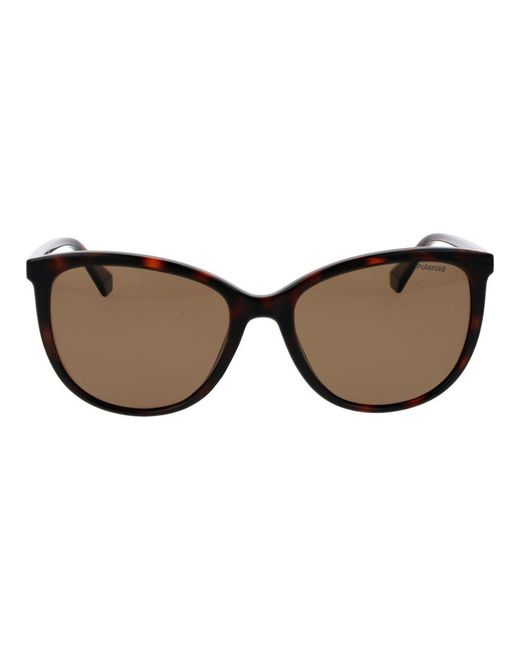 Polaroid Brown Plastic Sunglasses