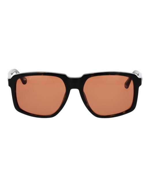 Web Brown Acetate Sunglasses for men