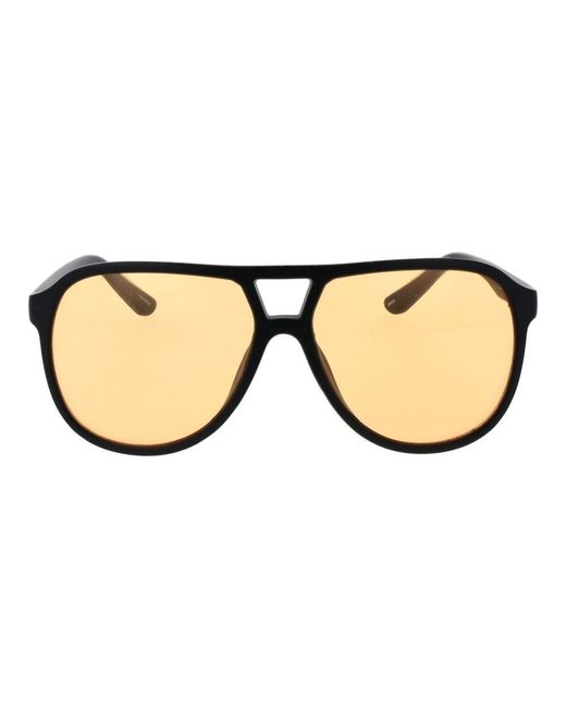 Champion Blue Brown Stainless Steel Sunglasses for men