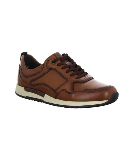 Sioux 3979 in het Brown voor heren