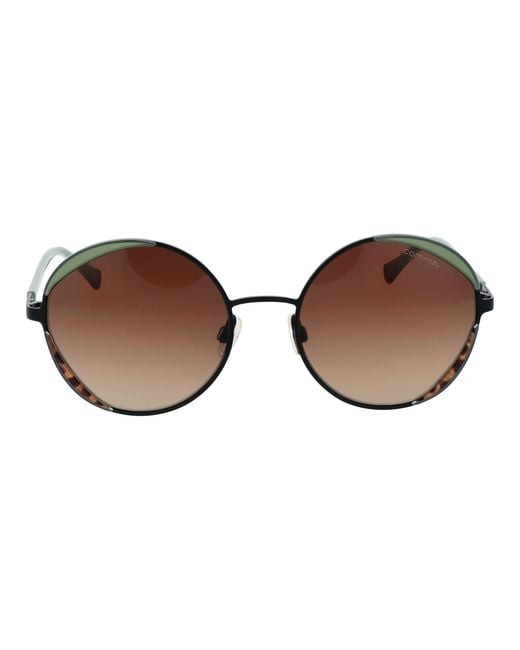 Comma, Brown Sunglasses 77241 35 55