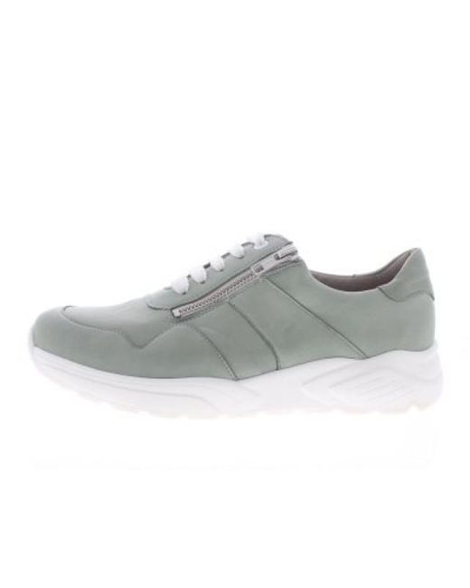 SOLIDUS Kea K in het Gray