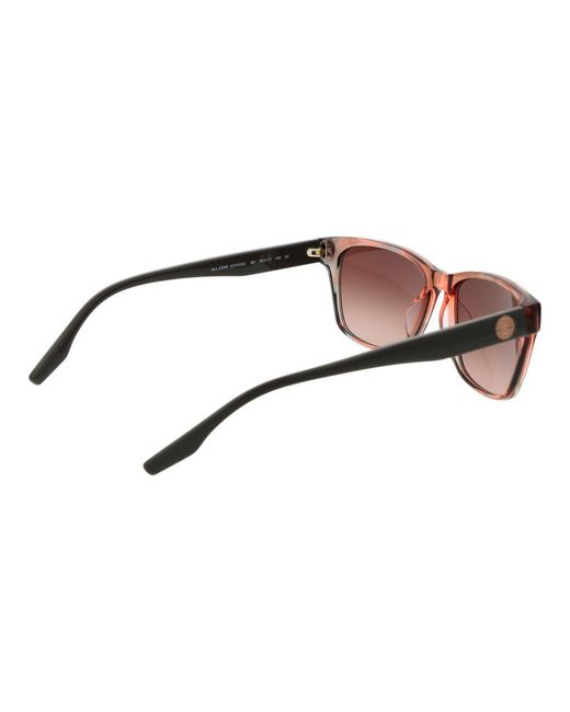 Converse Brown Acetate Sunglasses