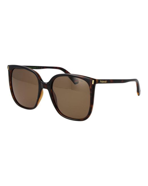 Polaroid Brown Plastic Sunglasses
