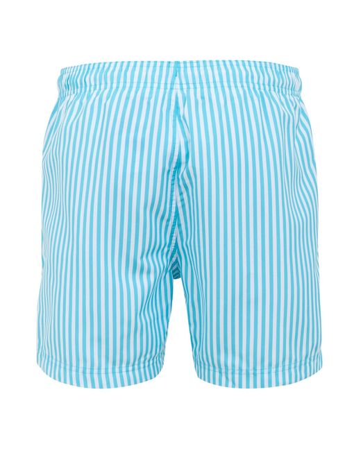 Regatta Blue Loras Striped Swim Shorts (Aquarius) for men