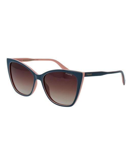 Polaroid Brown Bicolor Plastic Sunglasses