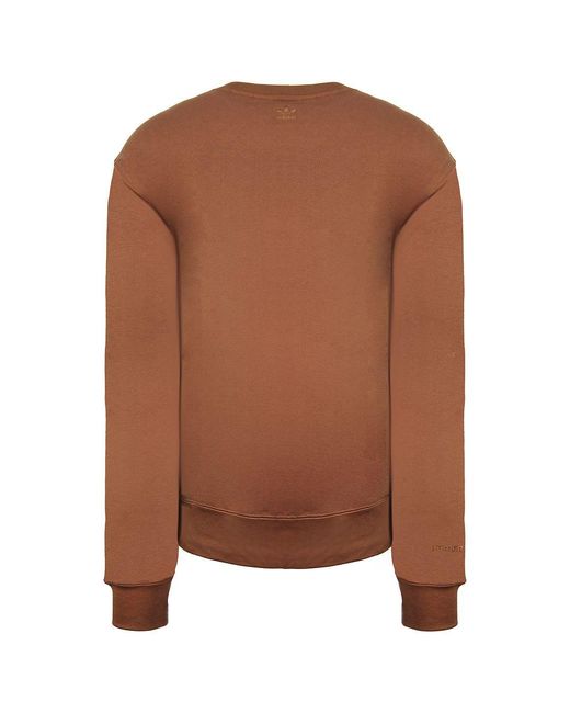 Adidas Pw Basic Sweater in Brown für Herren