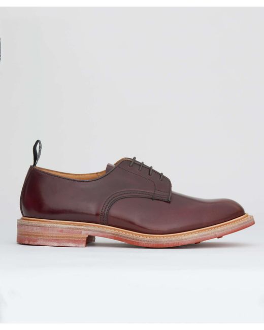 Tricker's Multicolor Limited Edition Cordovan Leather Derby Shoe for men