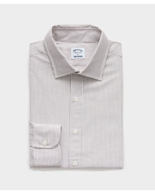 Hamilton Gray + Todd Snyder Brown Stripe Oxford Dress Shirt for men