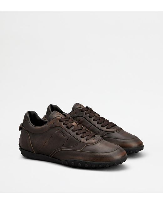 Tod's Brown Sneakers for men