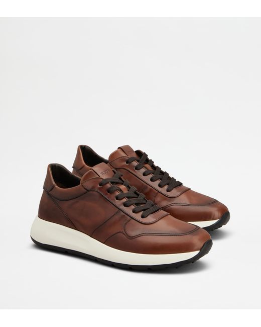 Tod's Brown Dot Sneakers for men