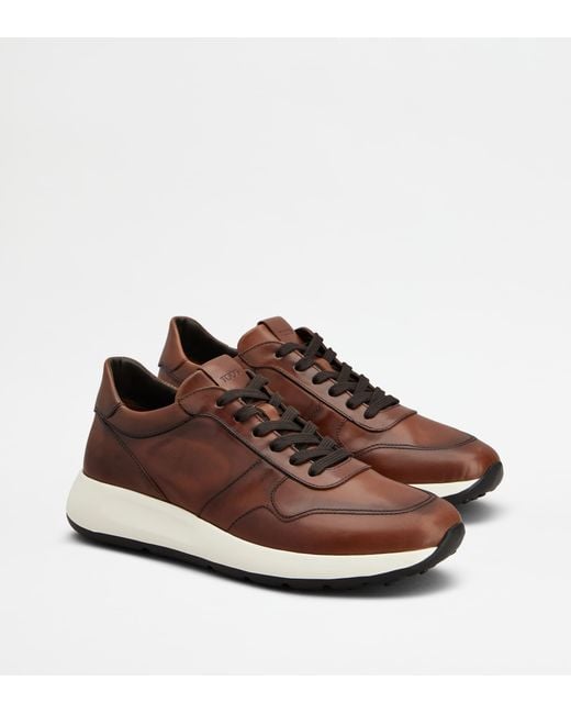 Tod's Sneakers Dot Aus Leder, 5 in Brown für Herren