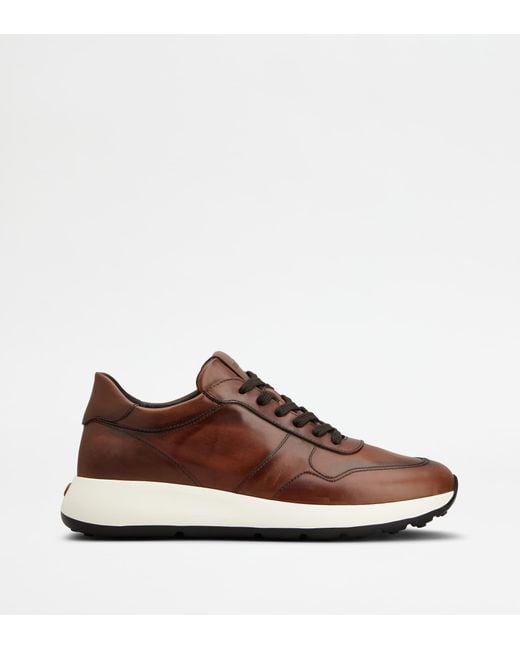 Tod's Sneakers Dot Aus Leder, 5 in Brown für Herren