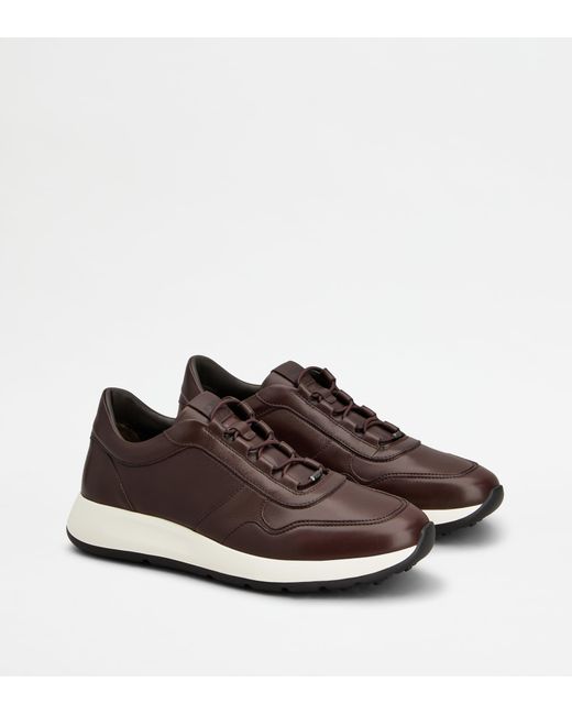 Tod's Brown Dot Sneakers for men