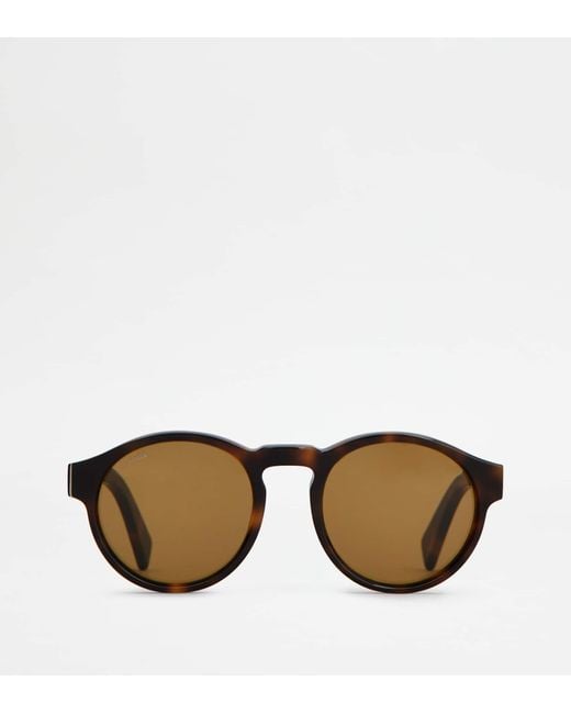 Tod's Brown Pantos Sunglasses for men