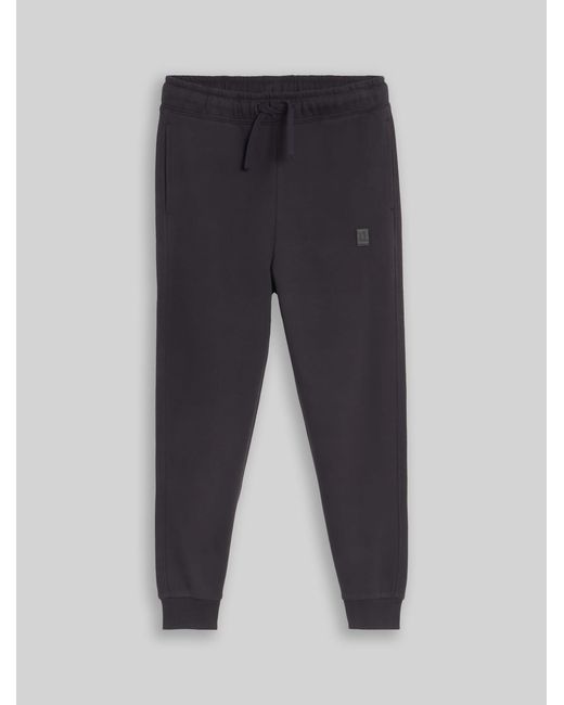 Tom Tailor Jungen Basic Jogginghose in Blue für Herren