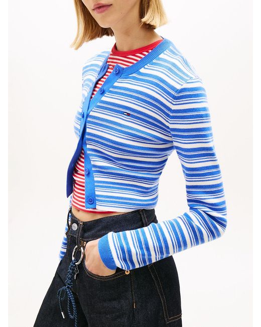 Tommy Hilfiger Blue Stripe Slim Crew Neck Cardigan