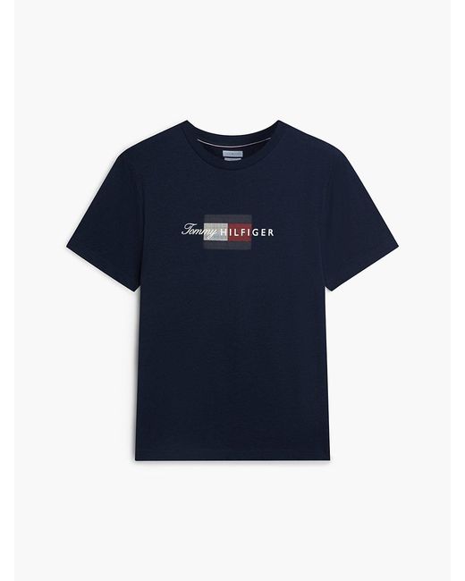 Tommy Hilfiger Blue Flag Graphic Jersey T-Shirt for men