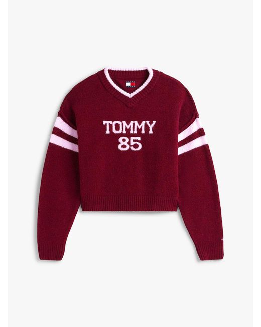 Tommy Hilfiger Red Intarsia Logo V-Neck Relaxed Jumper