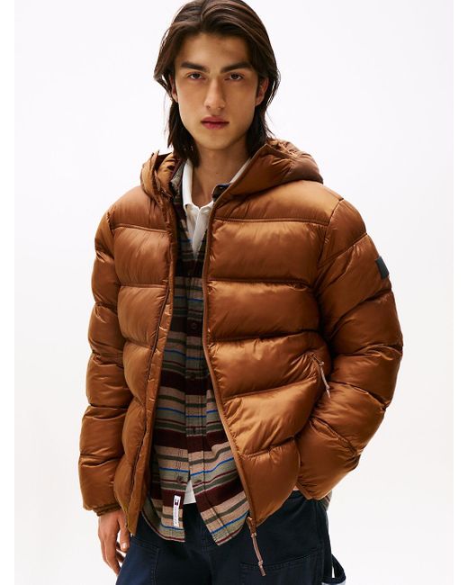 Giubbino Imbottito Con Cappuccio E Logo di Tommy Hilfiger in Brown da Uomo