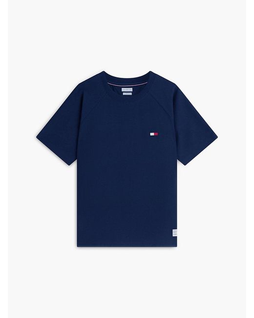 Tommy Hilfiger Blue Flag Raglan Sleeve Relaxed Jersey T-Shirt for men