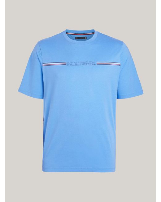 Tommy Hilfiger Blue Plus Logo Regular Fit T-shirt for men