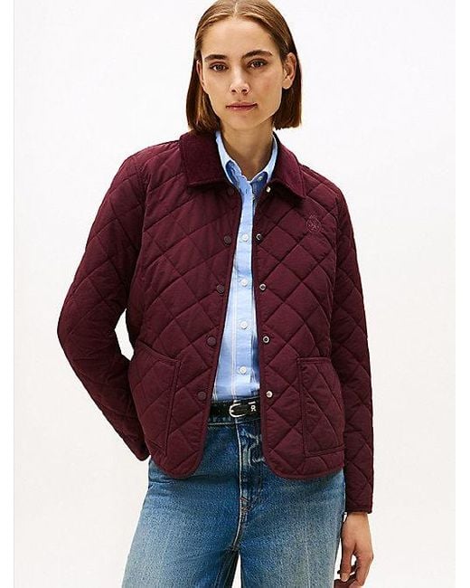 Tommy Hilfiger Getailleerd Gewatteerd Jack Met Th-Embleem in het Red