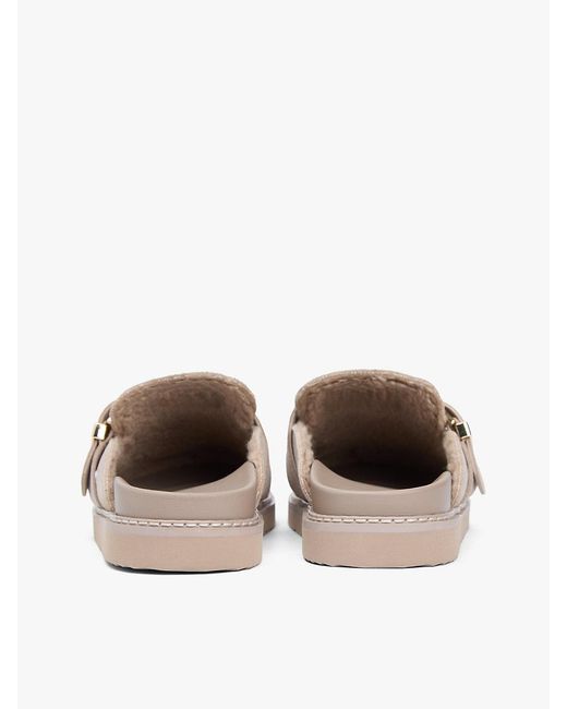 Tommy Hilfiger Multicolor Th Monogram Buckle Suede Mules
