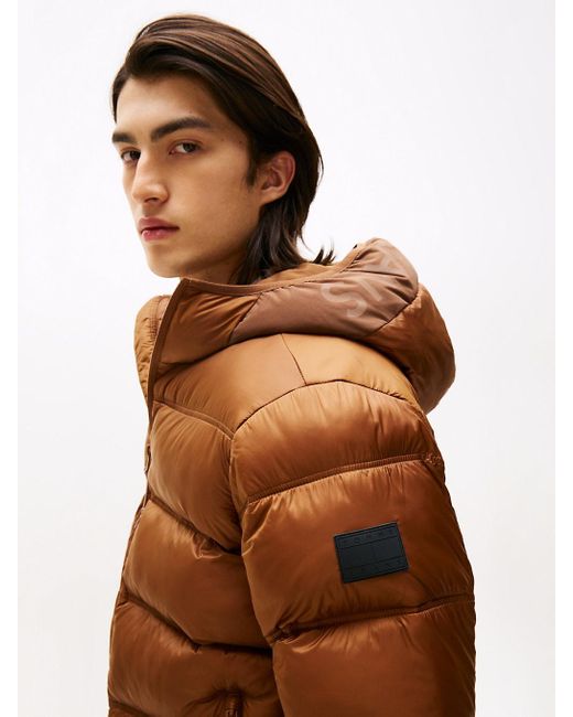 Giubbino Imbottito Con Cappuccio E Logo di Tommy Hilfiger in Brown da Uomo
