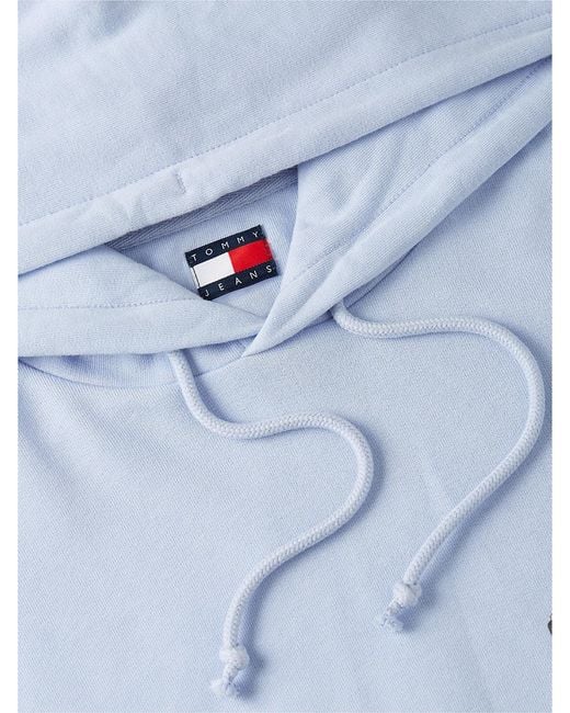 Tommy Hilfiger Blue Signature Back Logo Relaxed Hoody for men
