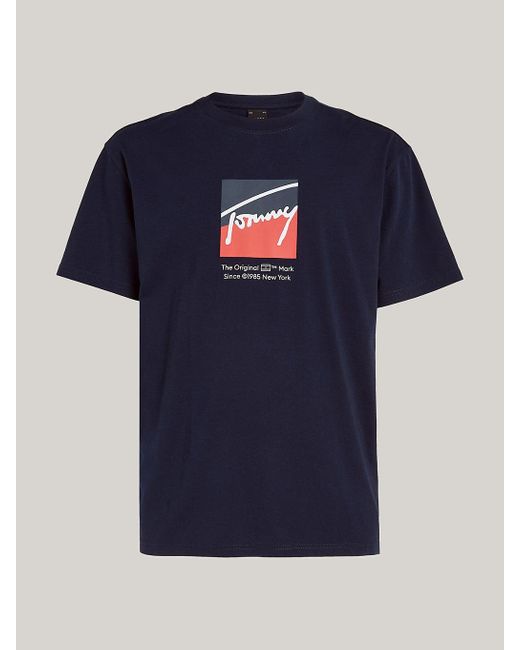 Tommy Hilfiger Blue Crew Neck Logo T-shirt for men
