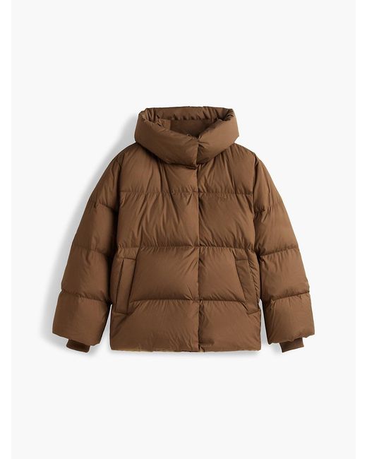 Tommy Hilfiger Brown Water Repellent Down Wrap Jacket