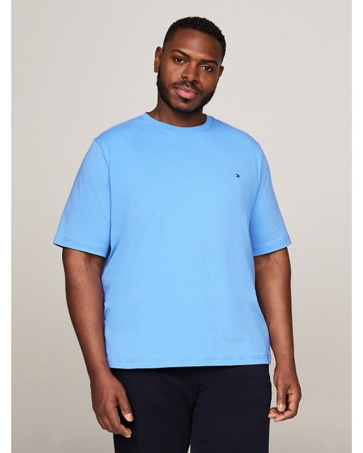 Tommy Hilfiger Blue Plus Crew Neck Regular Fit T-shirt for men