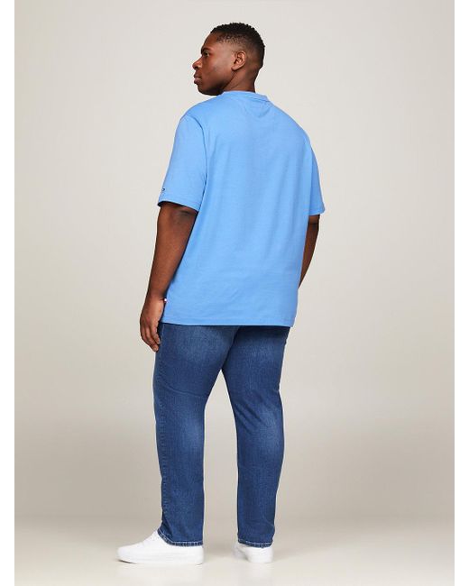 Tommy Hilfiger Blue Plus Logo Regular Fit T-shirt for men