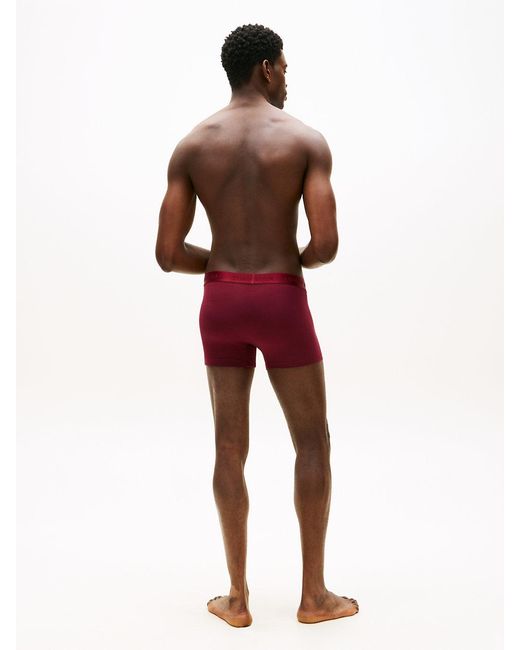 Tommy Hilfiger Purple 3-Pack Everyday Luxe Tonal Logo Trunks for men