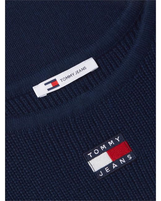 Tommy Hilfiger Blue Tommy Badge Stripe Knit Tank Top