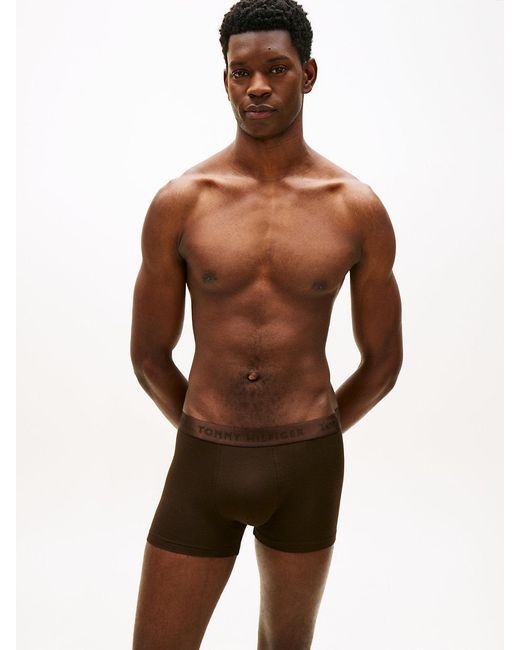Tommy Hilfiger Brown 3-Pack Everyday Luxe Tonal Logo Trunks for men