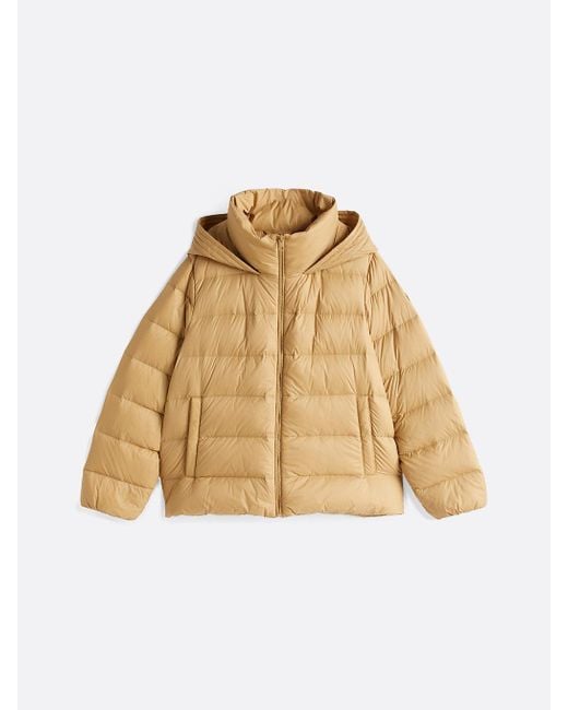 Tommy Hilfiger Natural Curve Water Repellent Down Jacket