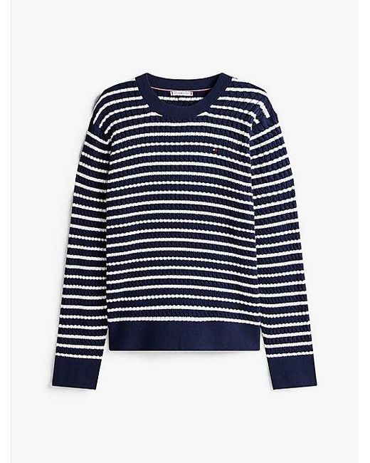 Tommy Hilfiger Curve Fijngebreide Kabeltrui in het Blue