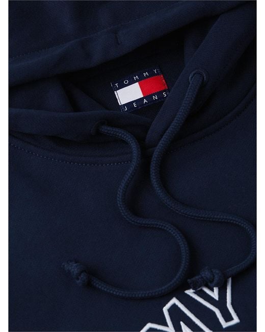 Tommy Hilfiger Blue Crest Logo Terry Hoody for men