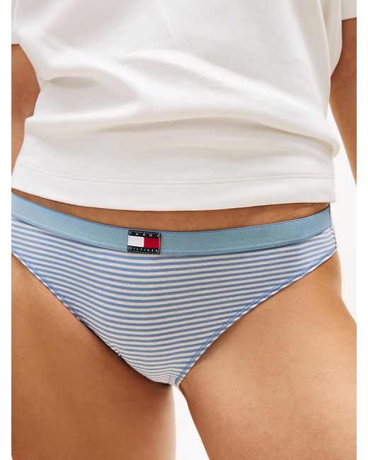 Tommy Hilfiger Blue 3-Pack Heritage Flag Logo Briefs